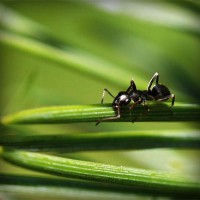 /album/kerteszkedes/photolia-a05-jpg/