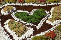 /album/kerteszkedes/plants-3625761-1280-jpg/